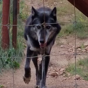 Meet your Posher, Eddie